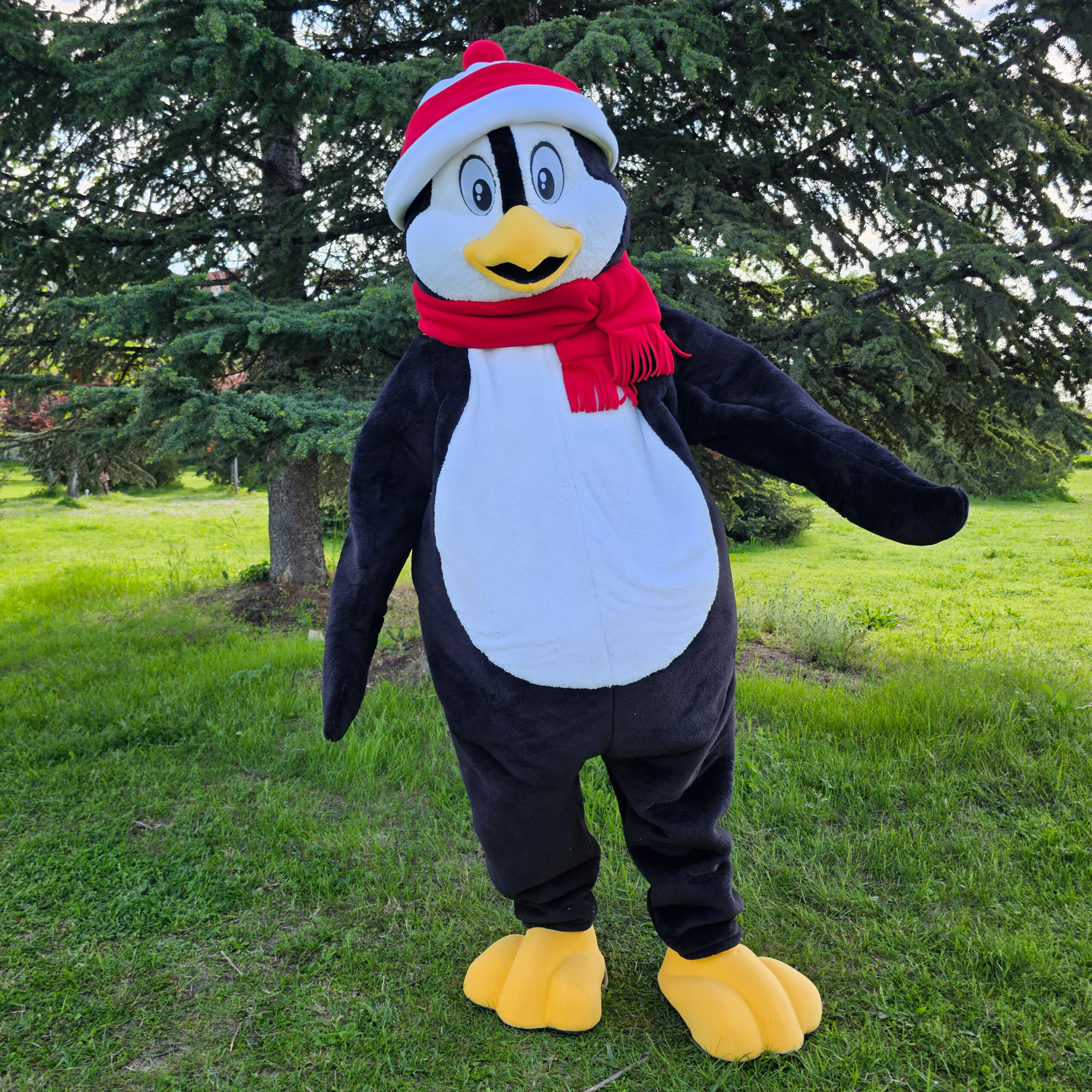 Mascot costumes